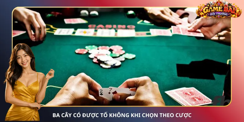 Ba Cây có được tố không khi chọn theo cược