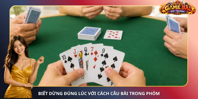 Cách Câu Bài Trong Phỏm – Thả Mồi Khéo, Chờ Quân Cần Ăn