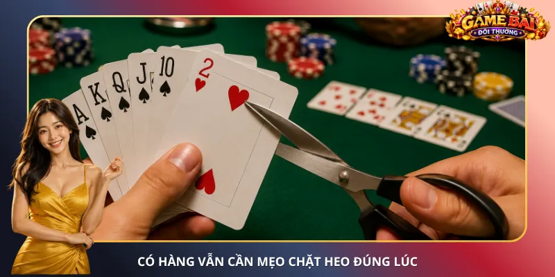 Có hàng vẫn cần mẹo chặt Heo đúng lúc