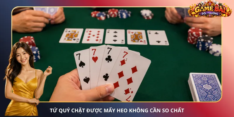 Tứ quý chặt được mấy Heo không cần so chất