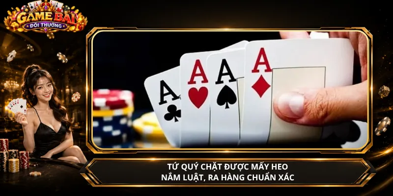 Tứ Quý Chặt Được Mấy Heo – Nắm Luật, Ra Hàng Chuẩn Xác